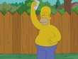 Homer Simpson does Ice Bucket Challenge