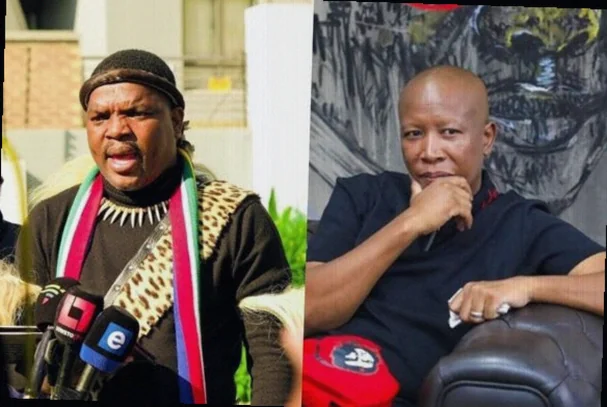 Ngizwe Mchunu Defies Court Order, Refuses to Apologise to Julius Malema