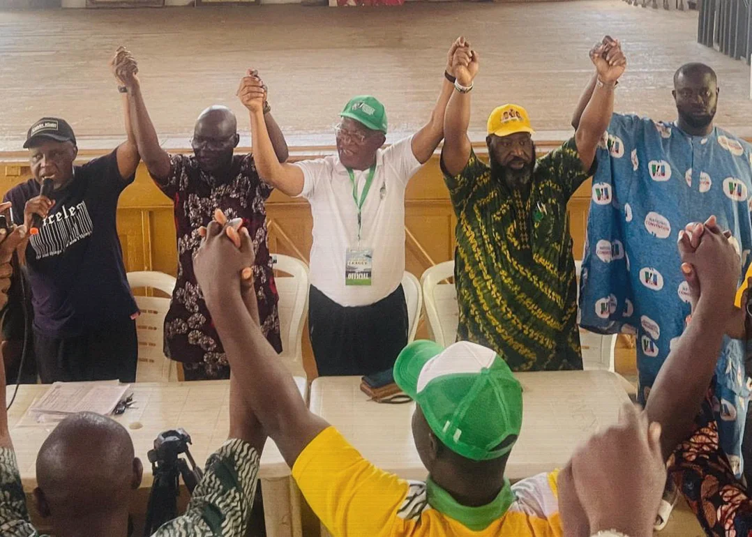 Tinubu Wins Abeokuta South APC Primary as Vote Counts Confirm Smooth Poll