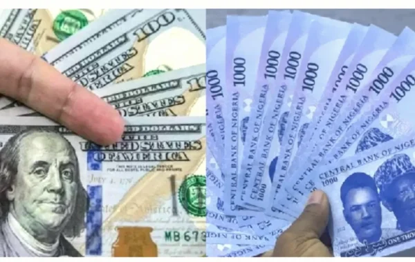 Naira Gains Slightly Ahead of CBN MPC Rate Decision, Dollar Holds Steady
