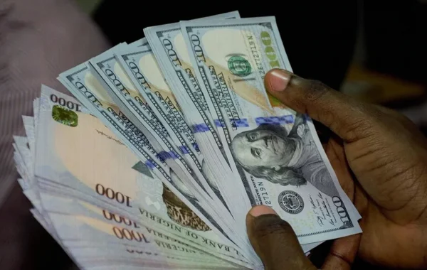 Naira Surges to Best Level vs Dollar as Liquidity Tightens, CBN Data Shows