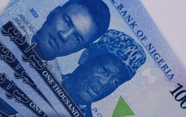 Nigeria FX Reserves Slip to $51.96bn as Naira Weakens Against Dollar