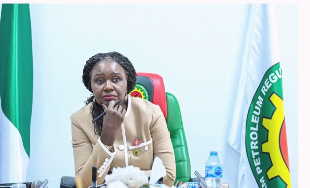 Nigeria Withdraws 13 Oil Blocks From 2025 Licensing Round After No Bids
