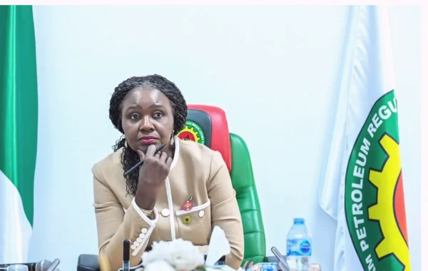 Nigeria Withdraws 13 Oil Blocks From 2025 Licensing Round After No Bids