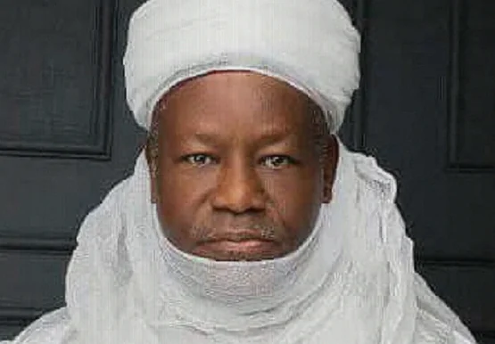 Bako Hails Tinubu as Gusau Exit Sparks Calls for Nigerian Football Reform