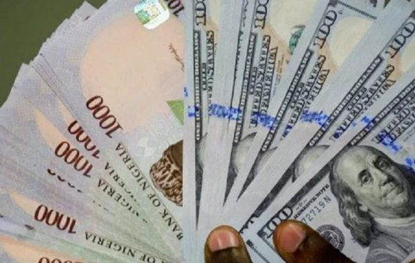 Naira Slips Against Dollar in Official, Parallel Markets Despite Reserve Gains