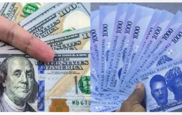 Naira Gains Further Against Dollar as Official Rate Reaches N1,338.59