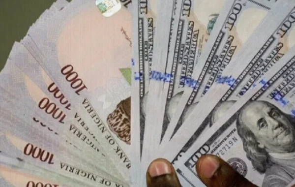 Naira Strengthens to N1,364.83 per Dollar as August Trading Begins