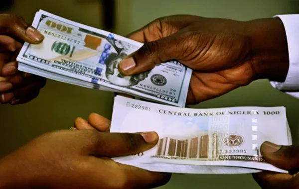 Naira Gains N5.55 to N1,360.14 at Official Dollar Exchange Window