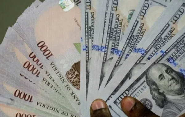 Naira Strengthens to N1,346.49 per Dollar as Official-Market Recovery Continues