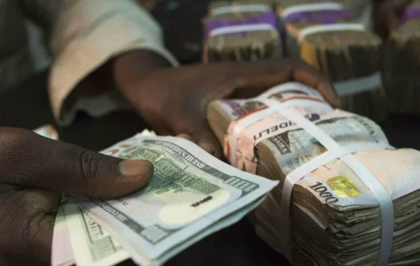 Naira Falls to N1,350.41 per Dollar After Two Days of Gains