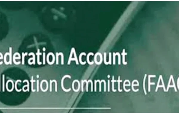 Nigeria’s Three Tiers Share Nearly N16tn in Federation Funds in Seven Months