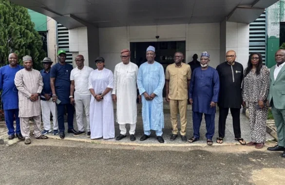 NFF Orders Super Falcons Technical Team to Step Aside Immediately