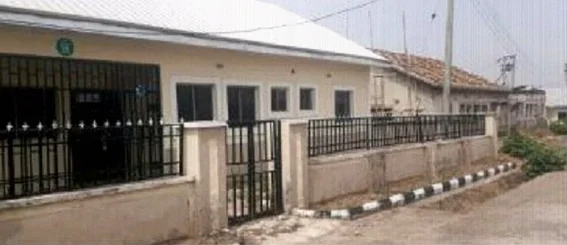 Ex-Super Eagles Coach Westerhof Seeks Safer Home Amid Abuja Security Fears