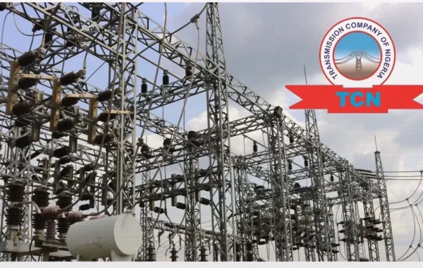 TCN Links Port Harcourt Blackout to Labour Incident at Afam IV Station