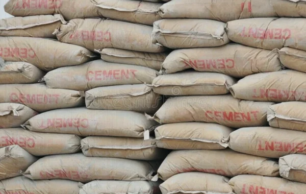 Wammakko Urges Tax Cuts, Cement Subsidies to Tackle Nigeria’s Housing Crisis
