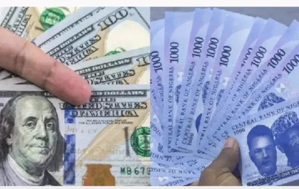 Naira Slips to N1,329 per Dollar in Official Market; Parallel Rate Holds