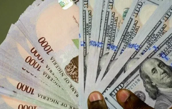 Naira Strengthens to N1,315.67 per Dollar in Biggest September Gain