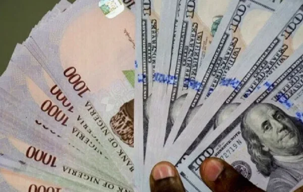 Naira Falls for Third Straight Session as Official Rate Hits N1,331/$