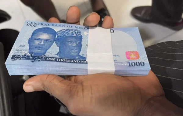 Naira Weakens at Official Window but Gains in Parallel Market