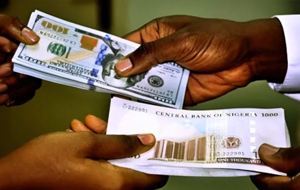 Naira Firms Officially but Weakens Sharply in Parallel Market