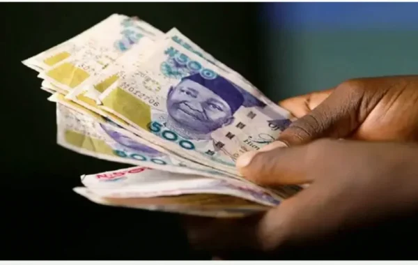 Naira Strengthens to N1,326.52 per Dollar as Official Market Gains Continue
