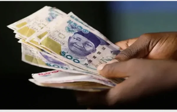 Naira Opens Week Higher as FX Reserves Climb to $54.13 Billion