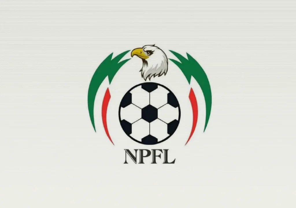 Jigawa Golden Stars appoint Majin Mohammed to lead NPFL promotion push