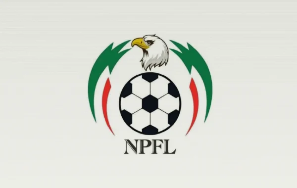 Jigawa Golden Stars appoint Majin Mohammed to lead NPFL promotion push