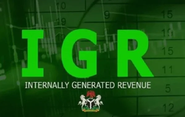 Nigeria’s States, FCT Generate N5.15tn in Revenue as Lagos Leads the Pack