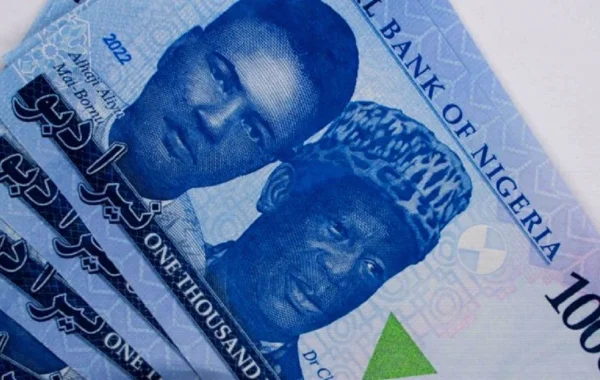 Naira Slips to N1,321/$ in First Official-Market Drop of September