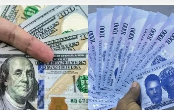 Naira Slips to N1,328.67 per Dollar in Official Market