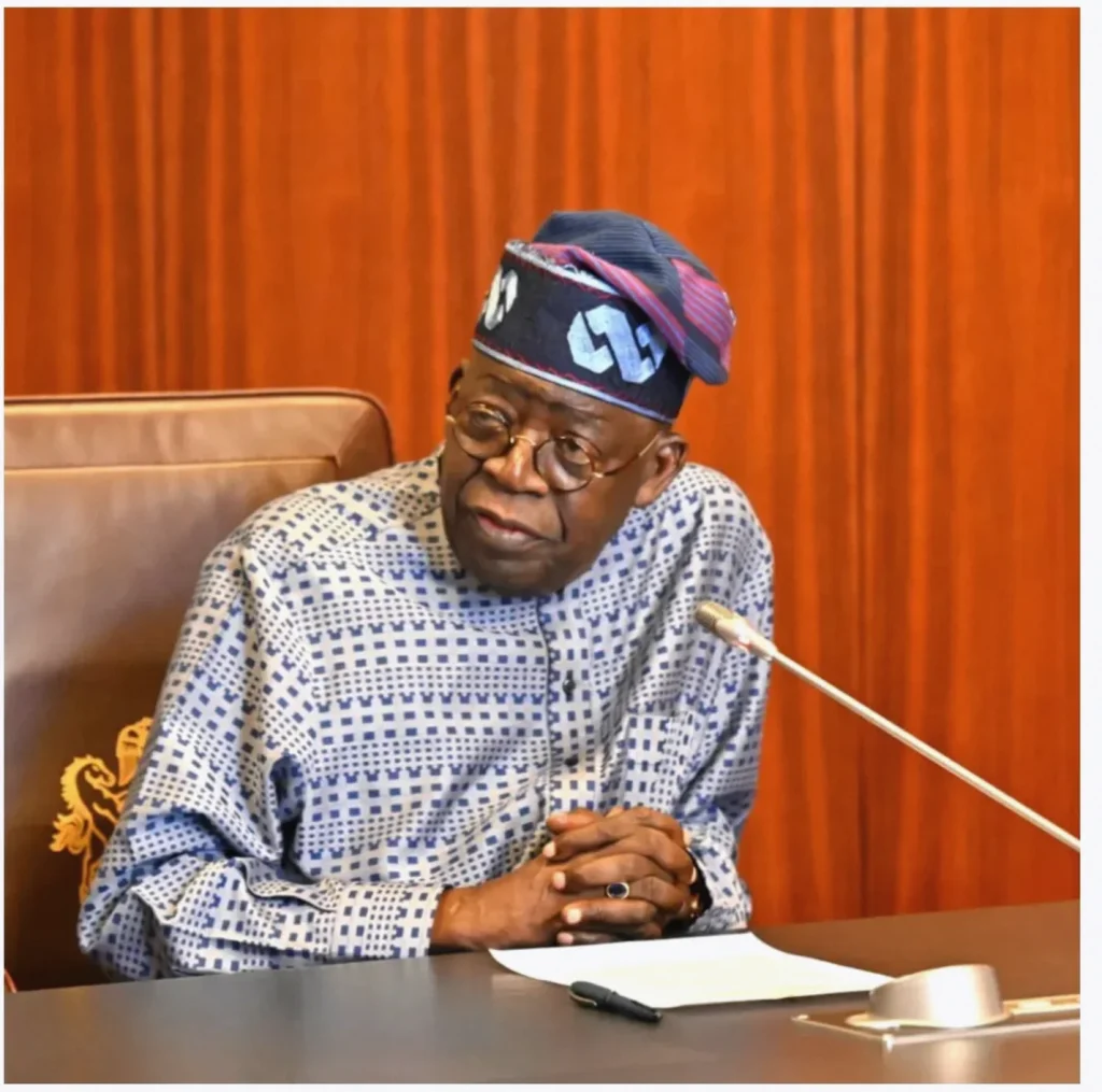 NCGC-Backed Lending Hits N46.95bn, Tinubu Says