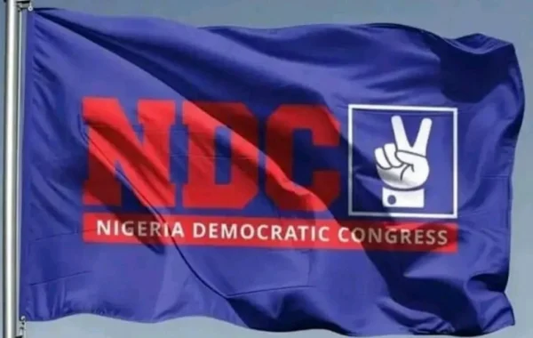NDC Says Obi-Kwankwaso Ticket Will Cut Nigeria’s Fuel Costs by 2027