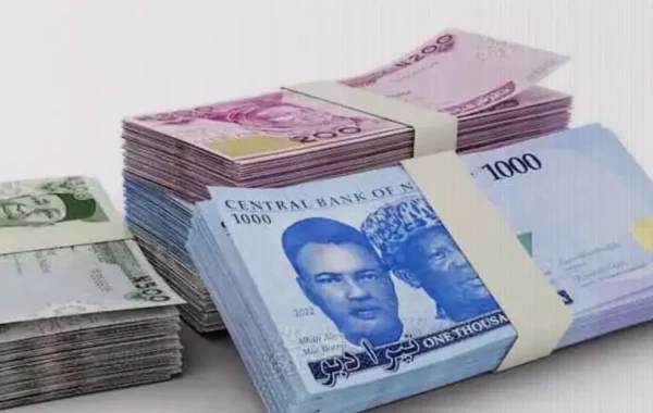 Naira Posts Sharpest Weekly Drop as Dollar Climbs to N1,344.40