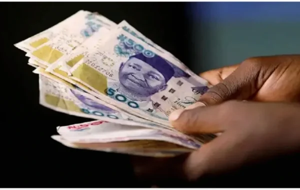 Naira Slips to N1,331.69 per Dollar in Official Market