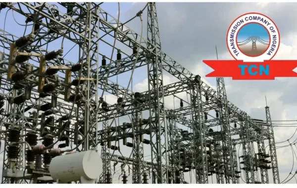 TCN Restores Power to Kebbi and Sokoto After Month-Long Outage