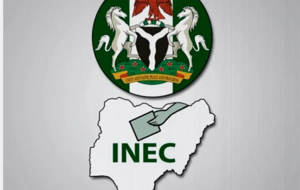 INEC Lists 15 Candidates for Bauchi Governorship Race, Excludes Four Parties