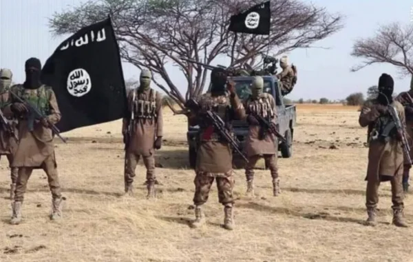 ISWAP Operative Surrenders to Nigerian Army With Family in Borno