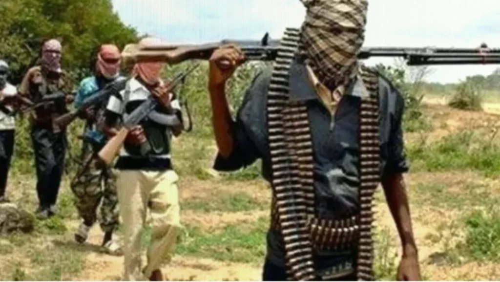 Katsina Hunters Kill 14 Bandits, Disrupt Suspected Mass Kidnap Plot