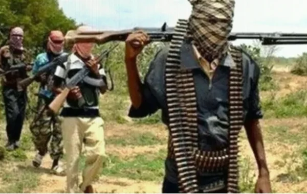 Katsina Hunters Kill 14 Bandits, Disrupt Suspected Mass Kidnap Plot