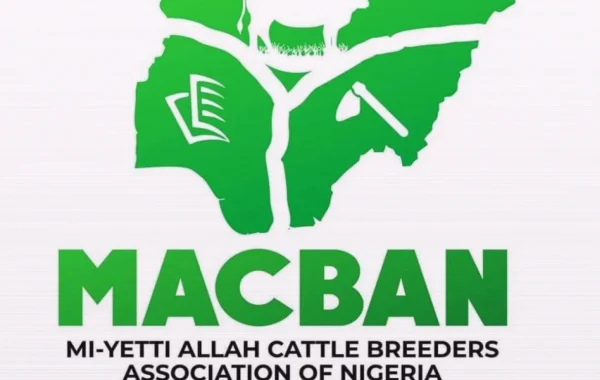 MACBAN Resumes Cattle Deliveries to Plateau’s Kara Livestock Market