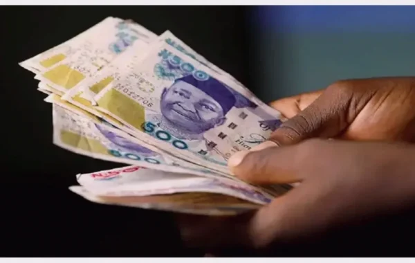 Naira Slips at Official FX Window as Reserves Stay Above $55 Billion