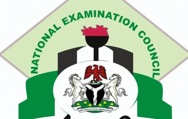 Late NECO Results Leave Nigerian University Applicants Facing Deadline Crunch