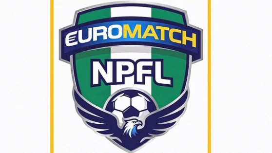 NPFL Cautions Barau FC After Stewards Enter Pitch Against Kwara United