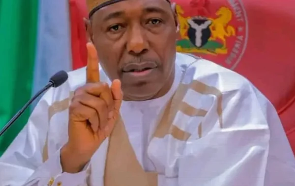 Borno Bans Scrap Trade After Theft of ₦3bn Power Cables