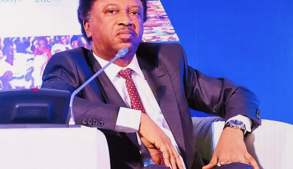 Shehu Sani Links Clerics’ Killings to Anti-Extremist Preaching