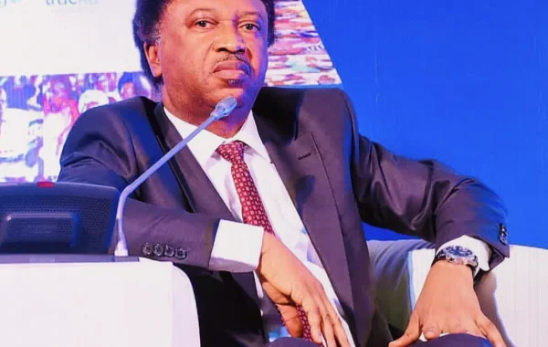 Shehu Sani Links Clerics’ Killings to Anti-Extremist Preaching