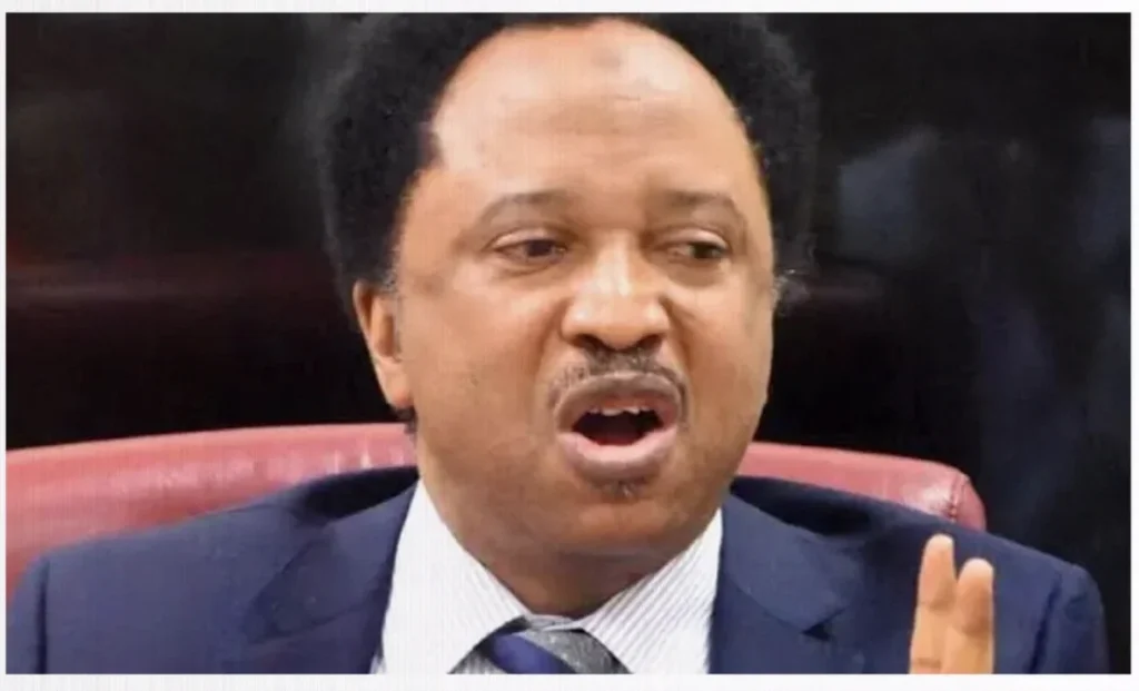 Shehu Sani Urges INEC-Excluded Politicians to End Court Challenges