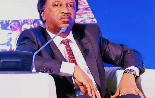 Shehu Sani Condemns Racist Slur Targeting Kemi Badenoch
